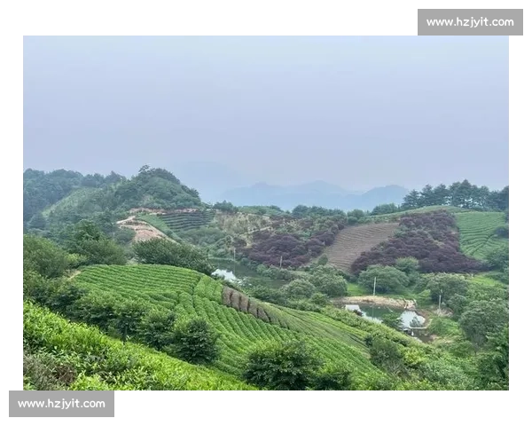 2025CHINA100 余姚站收官：3000 跑者逐梦四明山